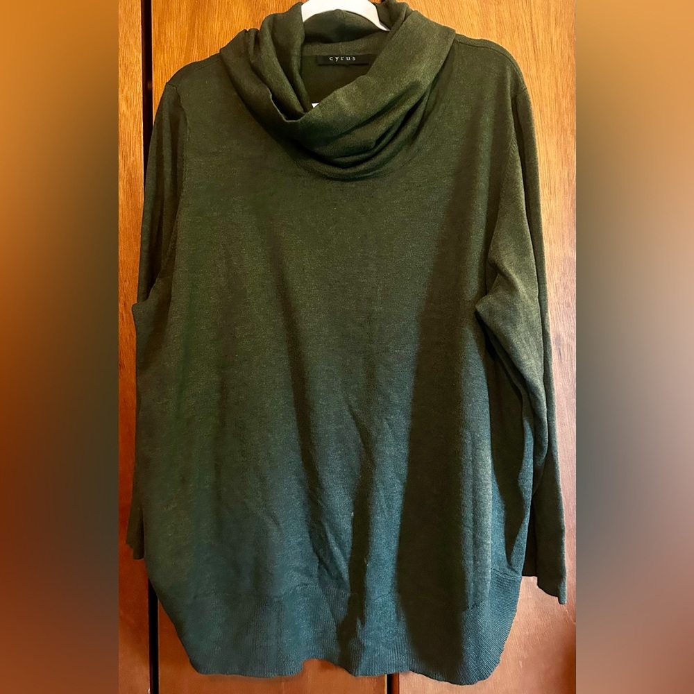 Cyrus Green Cowl Neck Sweater